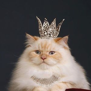 Meet your Posher, Jillian